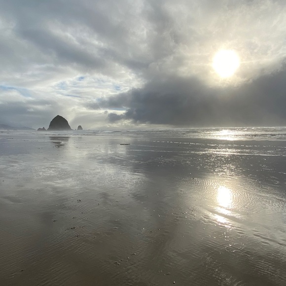 Meet your Posher, Adam - Picture 1 of 1